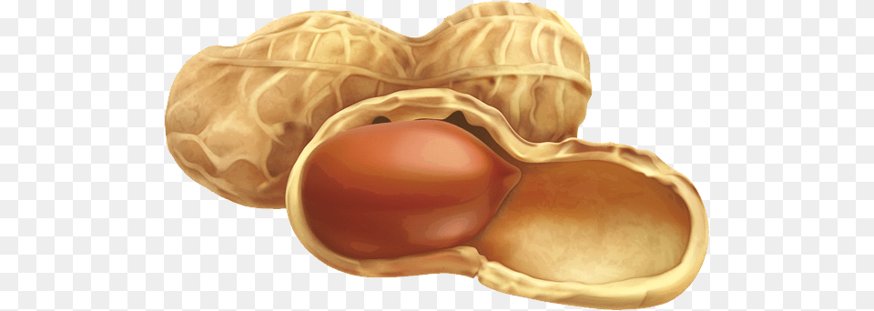 Peanut, Food, Nut, Plant, Produce Png Image