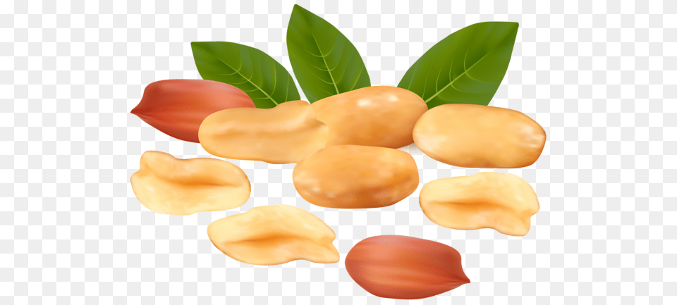 Peanut, Vegetable, Produce, Plant, Nut Free Png