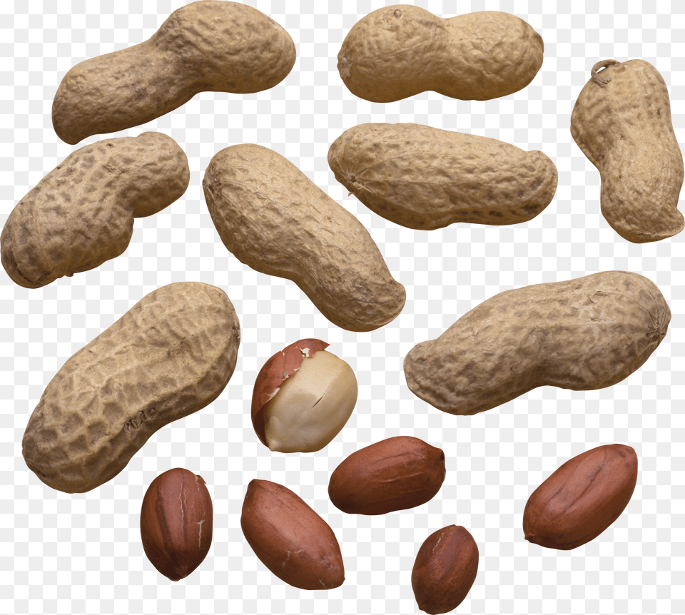 Peanut Png Image