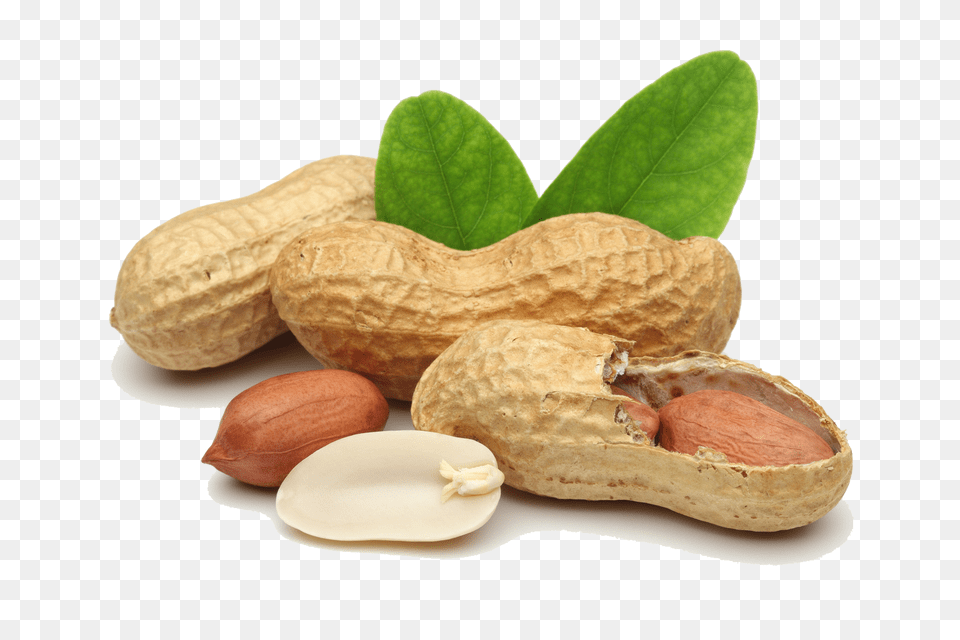 Peanut, Food, Nut, Plant, Produce Png Image