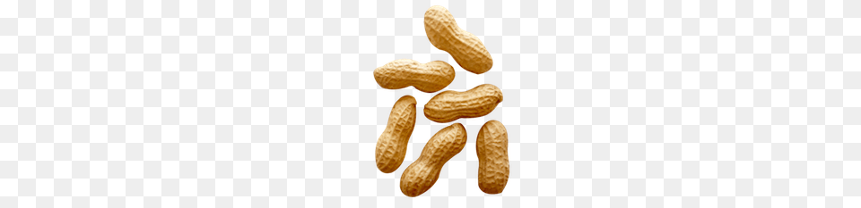 Peanut, Food, Nut, Plant, Produce Png Image
