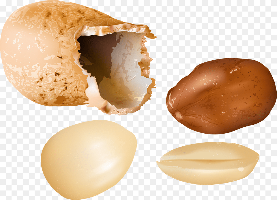 Peanut Png