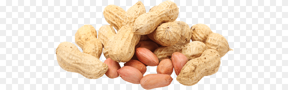 Peanut, Food, Nut, Plant, Produce Free Png