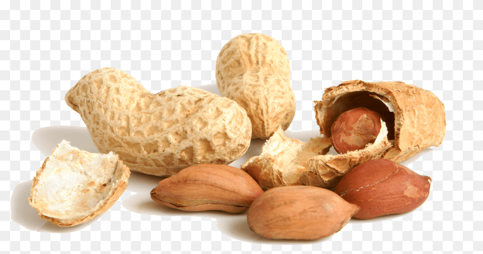 Peanut, Bread, Food, Nut, Plant Free Png