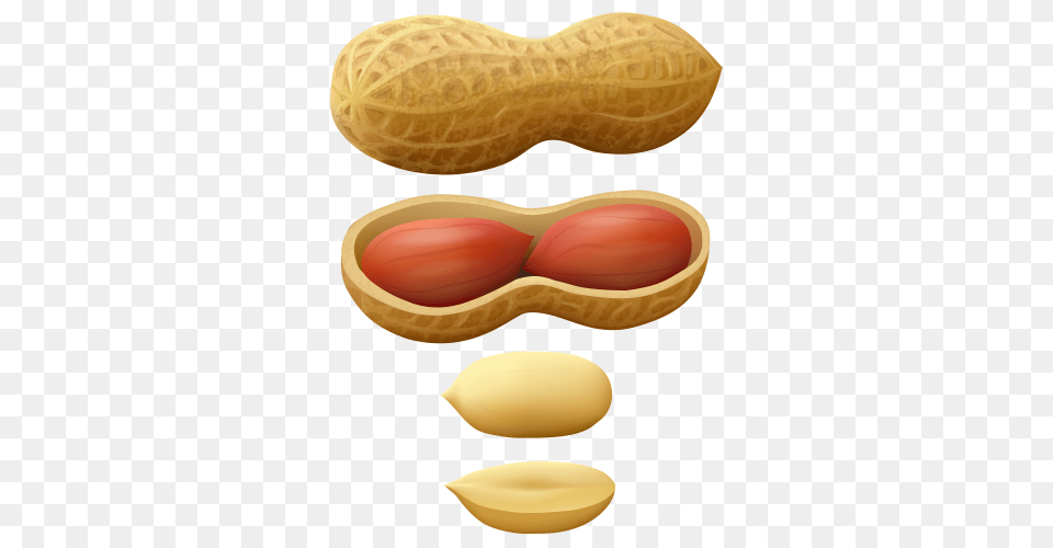 Peanut, Food, Nut, Plant, Produce Png Image