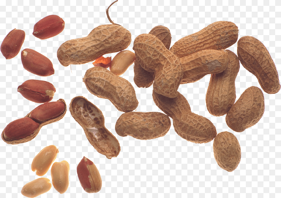 Peanut, Food, Nut, Plant, Produce Free Transparent Png