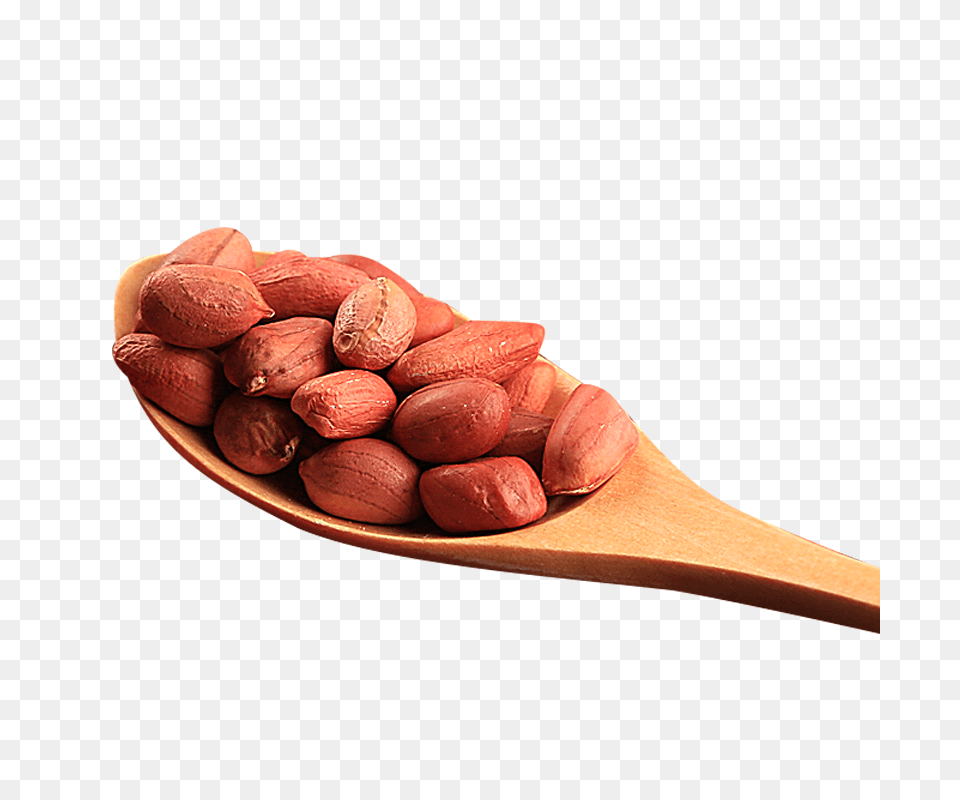 Peanut, Cutlery, Spoon, Food, Nut Png Image