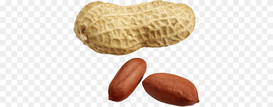 Peanut, Food, Nut, Plant, Produce Free Png