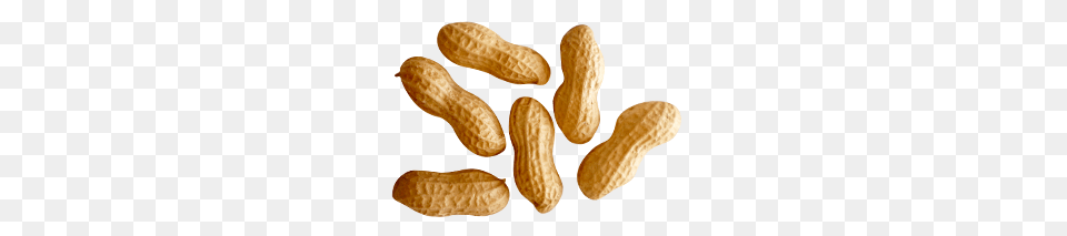 Peanut, Food, Nut, Plant, Produce Free Png Download