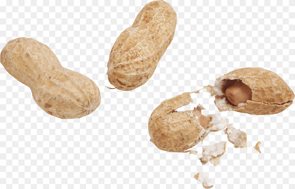 Peanut Arahis, Bread, Food, Nut, Plant Png Image