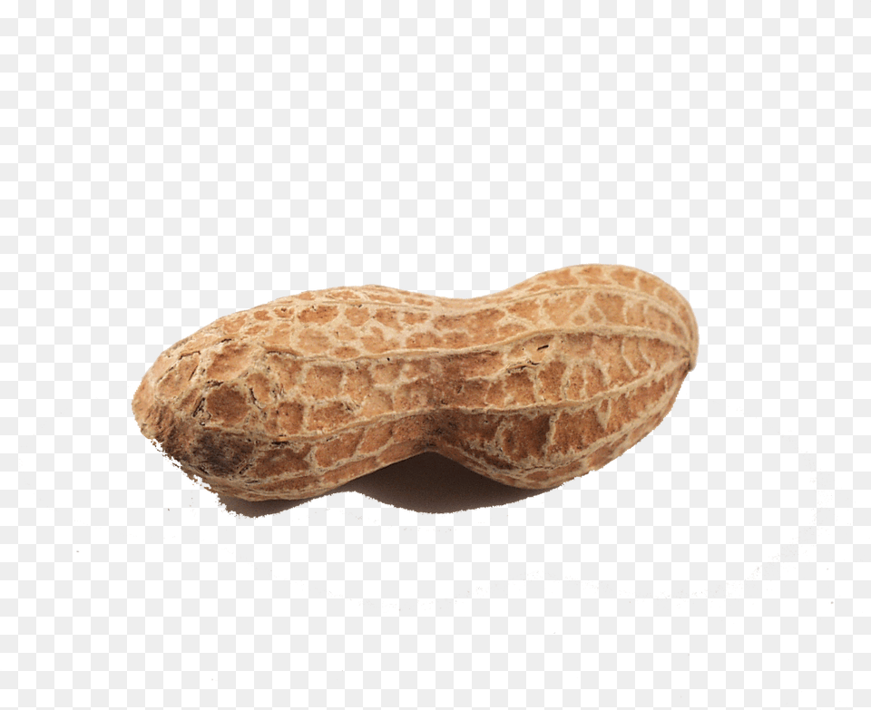 Peanut Background Peanut, Bread, Food, Nut, Plant Free Transparent Png