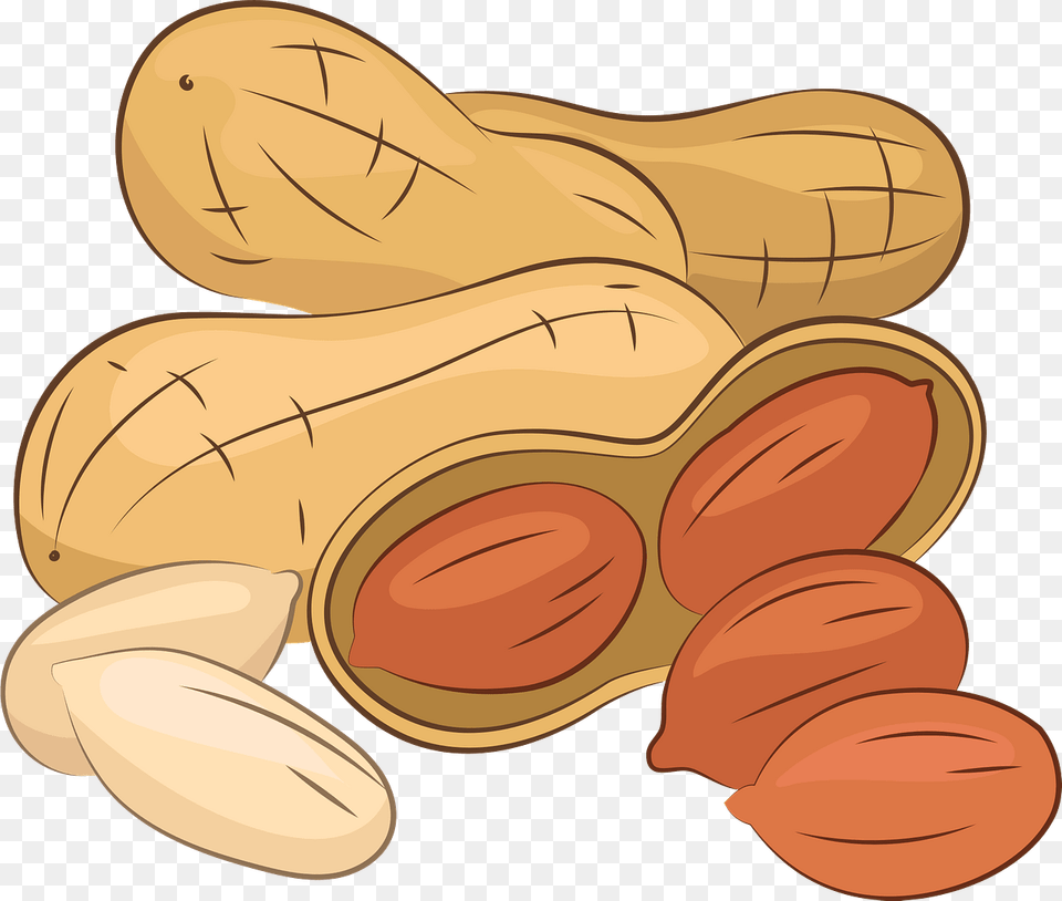 Peanut Clipart, Vegetable, Produce, Plant, Nut Png