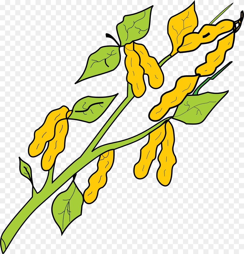 Peanut Clipart, Green, Leaf, Plant, Vegetation Free Transparent Png