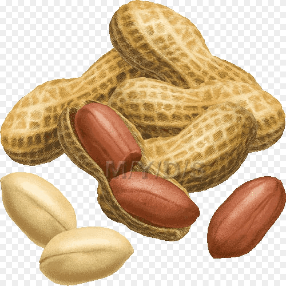 Peanut Clipart Images Collection Peanut Clipart, Vegetable, Produce, Plant, Nut Png Image
