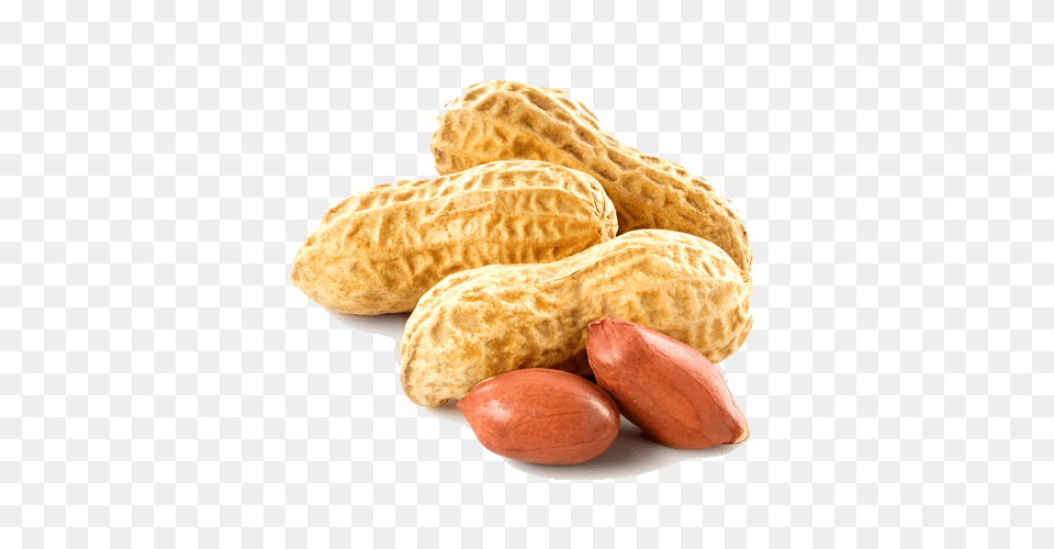 Peanut Close Up, Food, Nut, Plant, Produce Png Image
