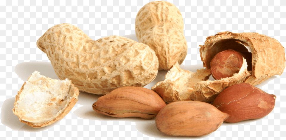 Peanut File Transparent Background Peanut, Food, Nut, Plant, Produce Png