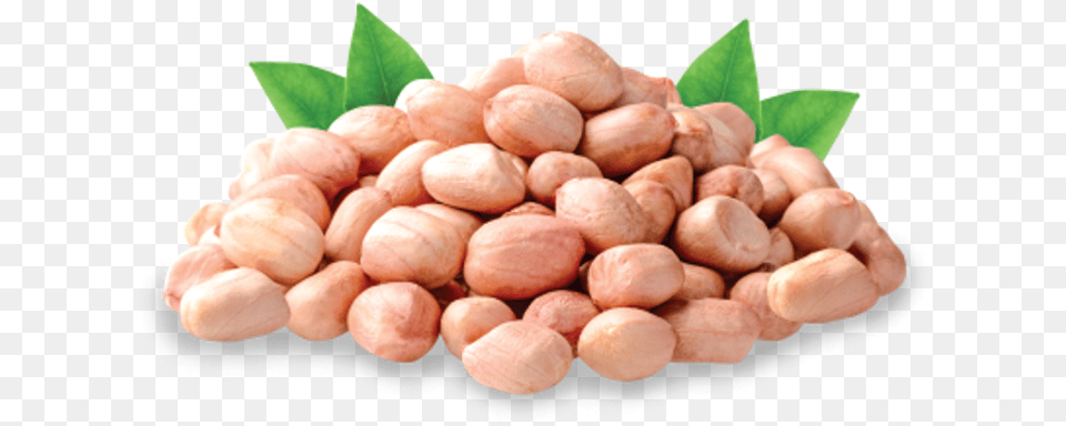 Peanut Groundnuts, Food, Nut, Plant, Produce Free Png Download