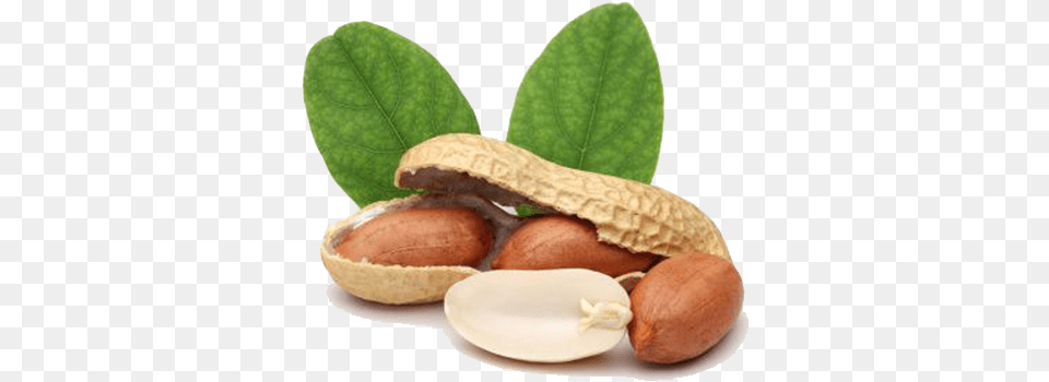 Peanut Image Peanut, Food, Nut, Plant, Produce Free Transparent Png