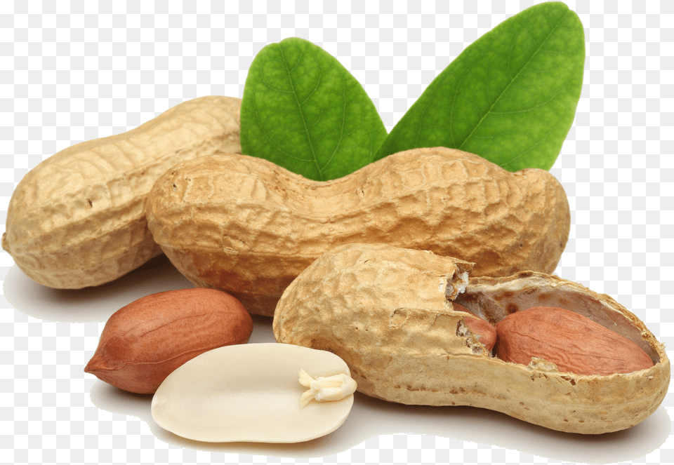 Peanut Transparent Peanuts, Food, Nut, Plant, Produce Png Image