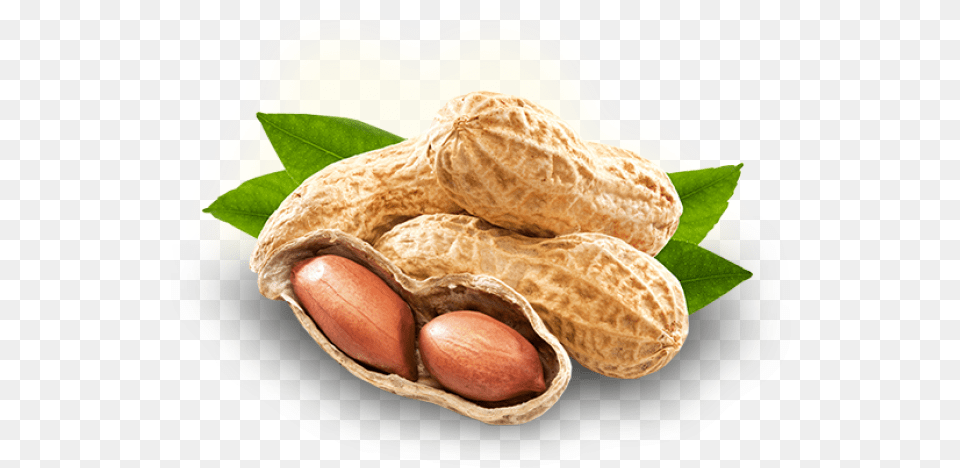 Peanut Images Mongphali, Food, Nut, Plant, Produce Png