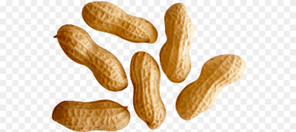 Peanut Images Peanuts, Food, Nut, Plant, Produce Free Png