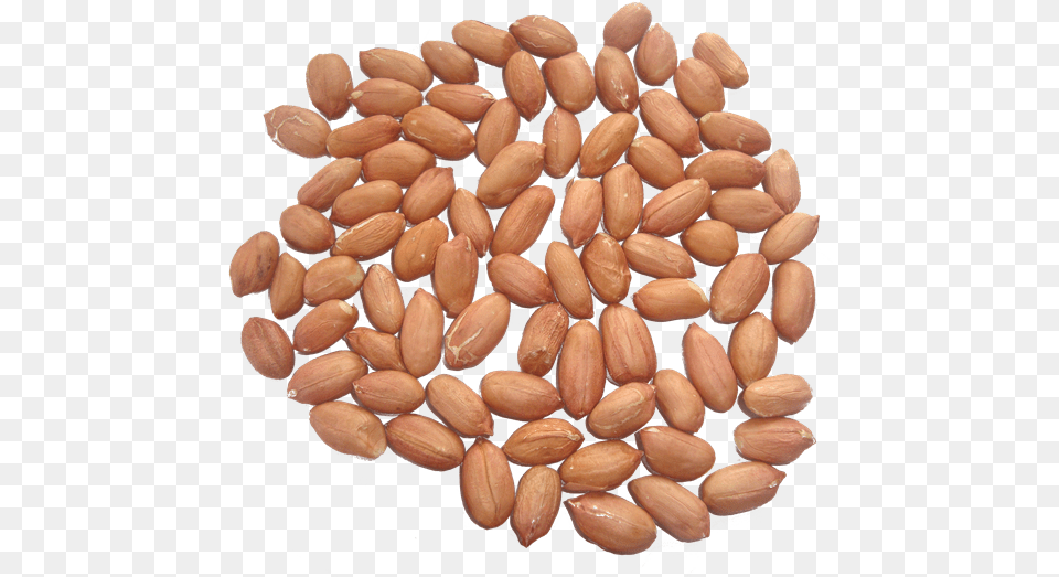 Peanut Kernels, Food, Nut, Plant, Produce Free Png