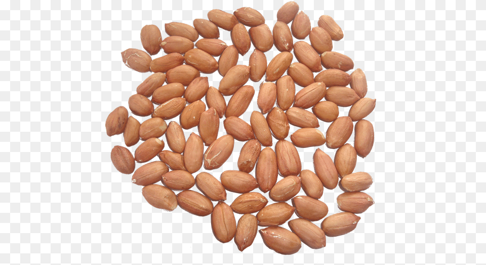 Peanut Kernels Peanut, Food, Nut, Plant, Produce Free Png Download