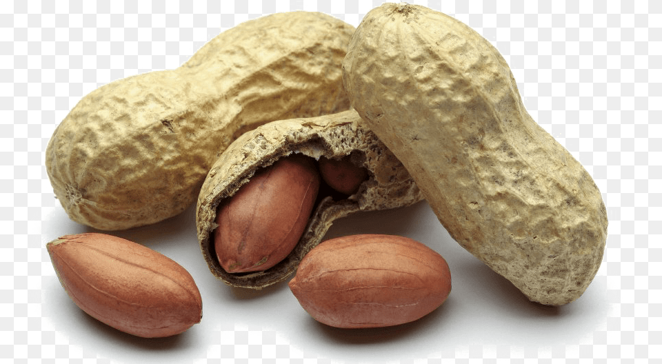Peanut Peanut, Food, Nut, Plant, Produce Free Png Download