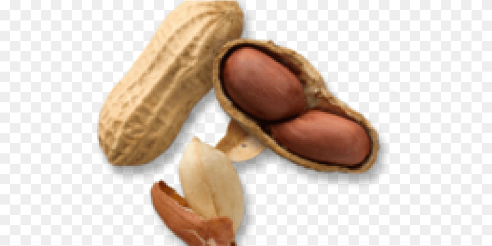 Peanut Transparent Images Portable Network Graphics, Food, Nut, Plant, Produce Free Png