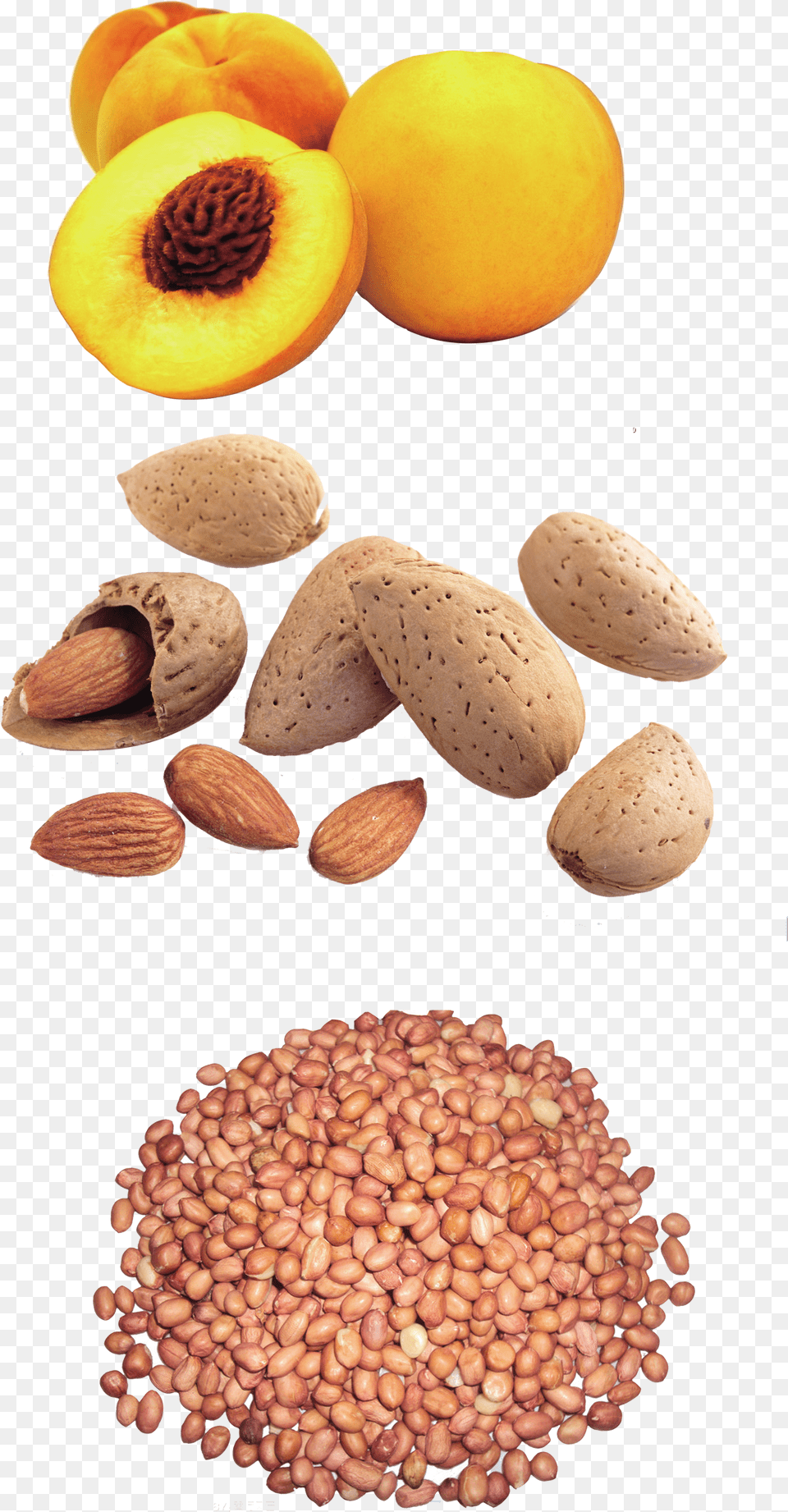 Peanut Yellow Peach Dried Fruit Snack Design Pattern Peanut Png