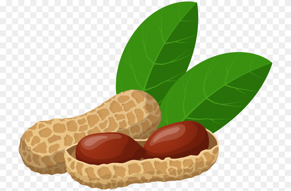 Peanuts, Food, Nut, Plant, Produce Free Png Download