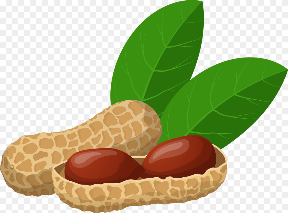 Peanuts Clip Art Transparent Background Groundnut Clipart, Food, Nut, Plant, Produce Png Image