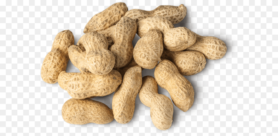 Peanuts Peanut, Food, Nut, Plant, Produce Png Image