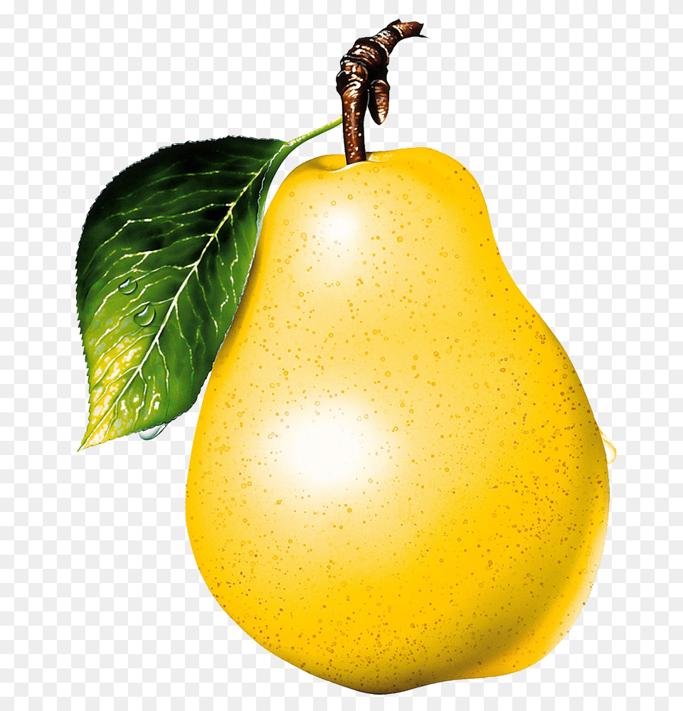 Pear, Food, Fruit, Plant, Produce Free Transparent Png