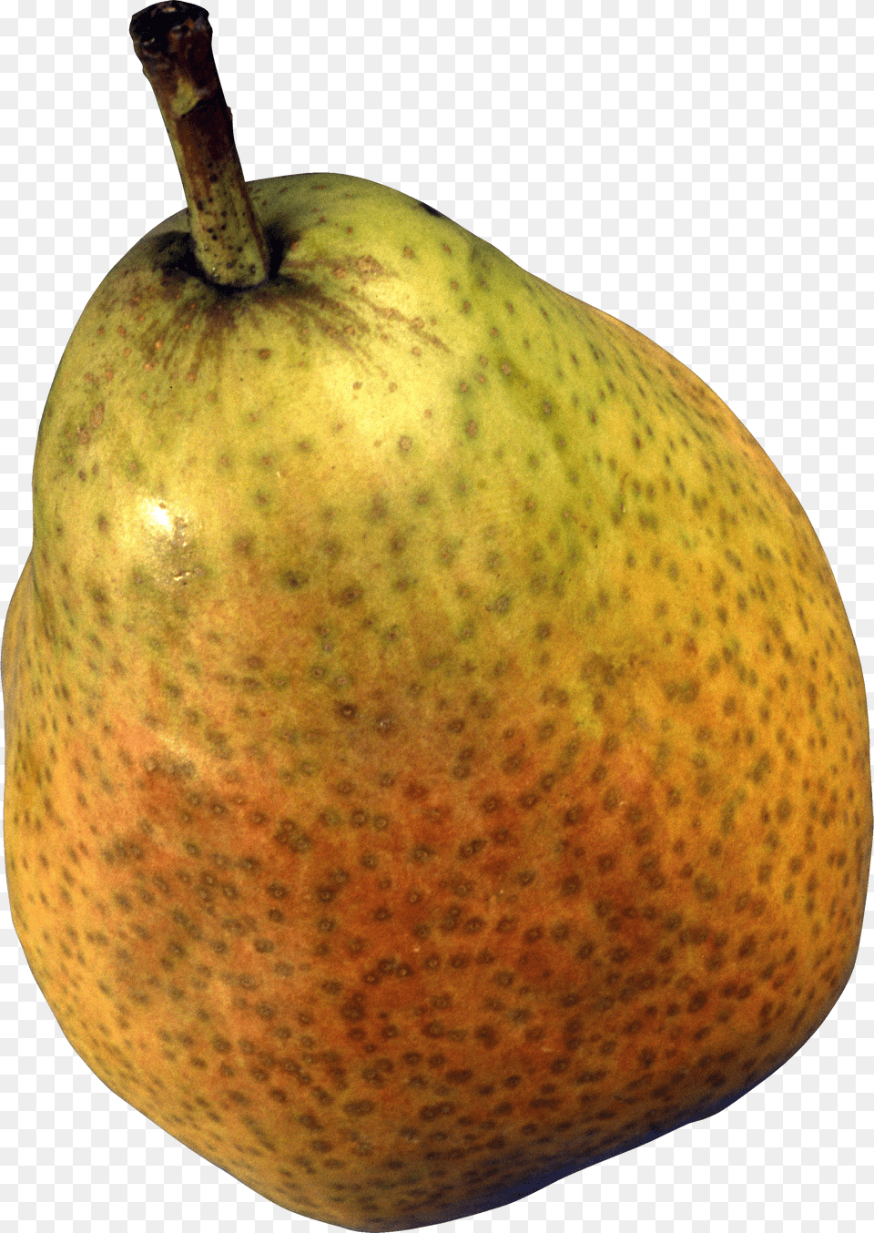 Pear Png