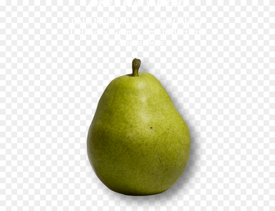 Pear Cider Pear, Food, Fruit, Plant, Produce Png Image