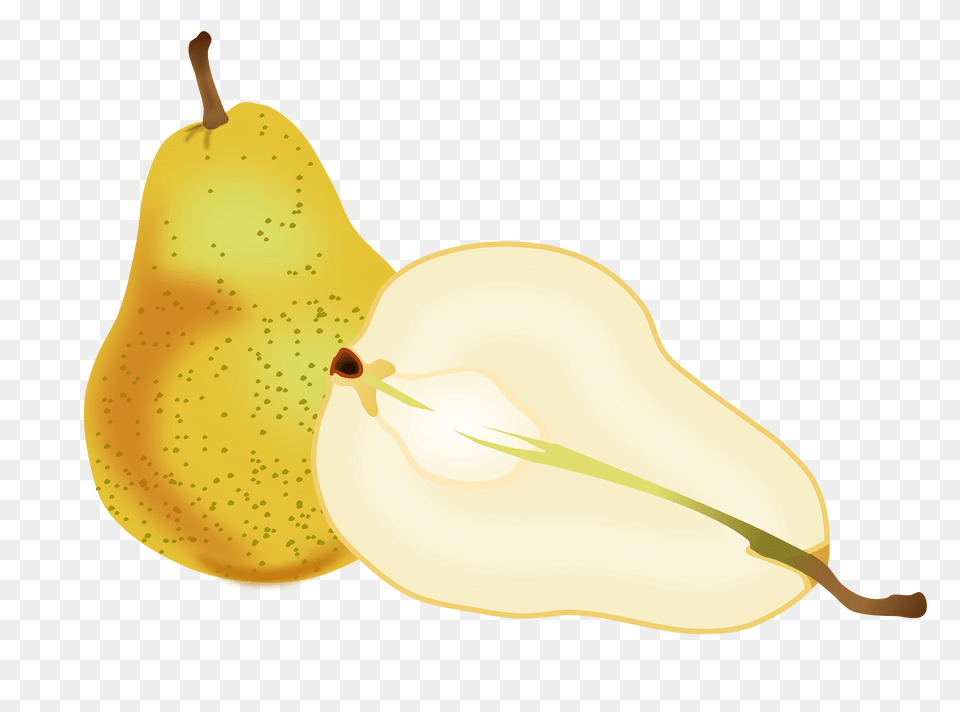 Pear Clipart, Food, Fruit, Plant, Produce Free Png Download