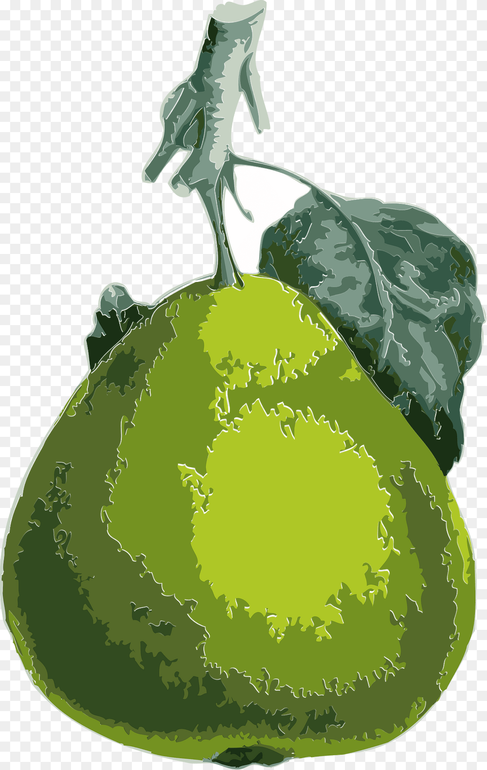 Pear Clipart, Food, Fruit, Plant, Produce Png