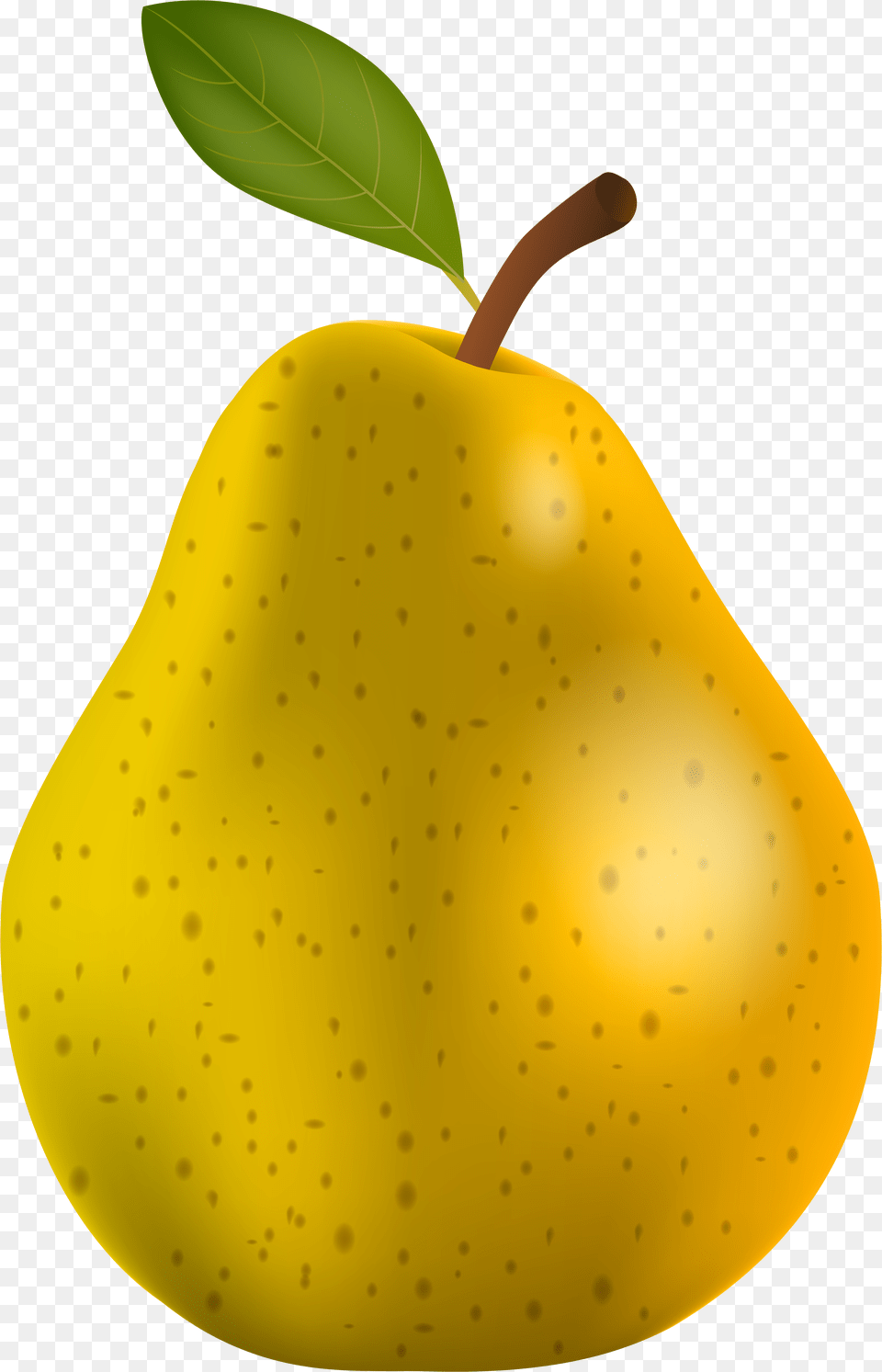 Pear Clipart Different Kind Fruit Pears Images Clip Art Free Png