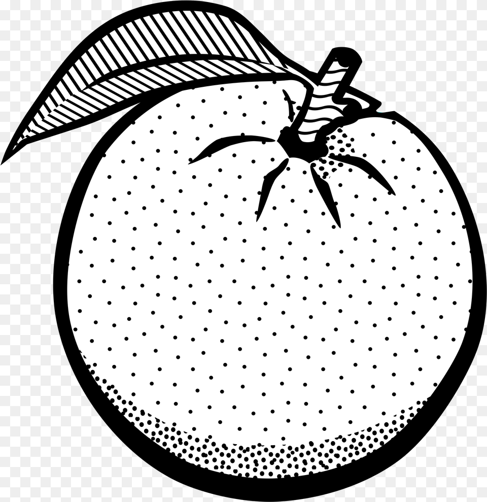 Pear Clipart Line Drawing Orange Black And White, Food, Fruit, Plant, Produce Free Transparent Png