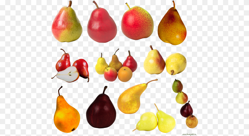 Pear Free Download, Food, Fruit, Plant, Produce Png Image