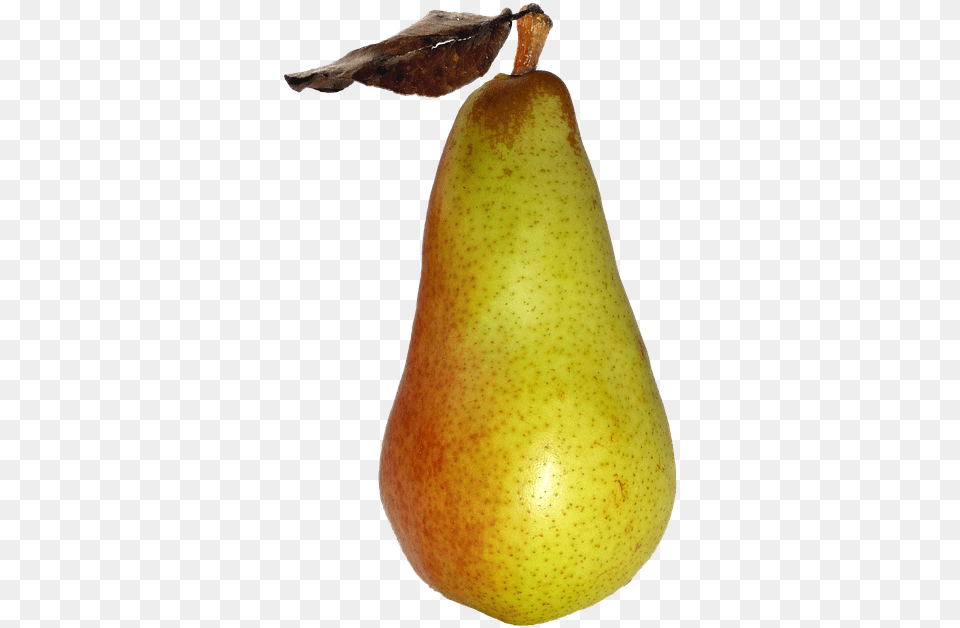 Pear Fruit Food Delicious Nature Frisch Healthy Food, Plant, Produce Free Transparent Png