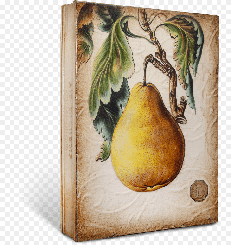 Pear Limited, Food, Fruit, Plant, Produce Free Png