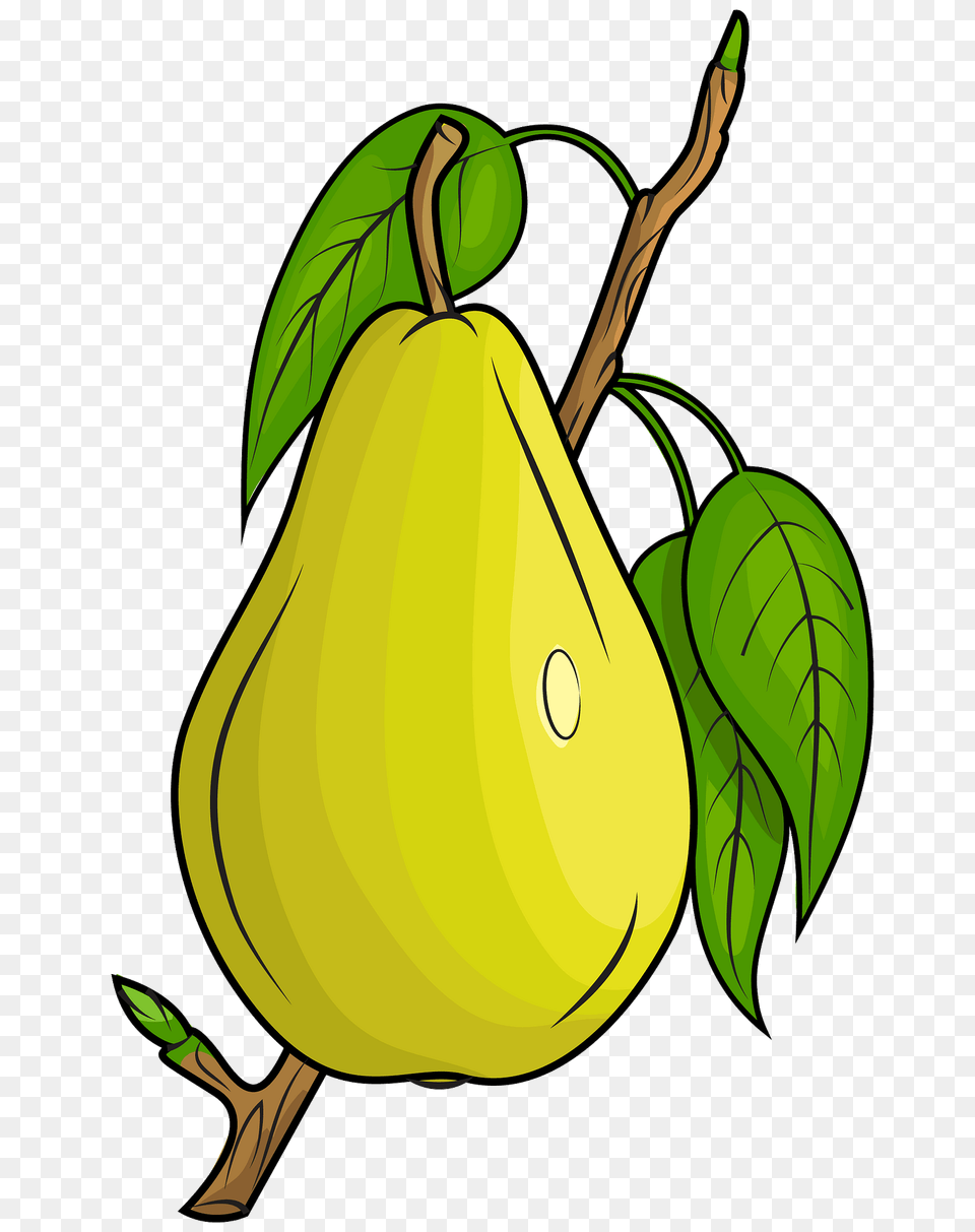 Pear On The Branch Clipart, Food, Fruit, Plant, Produce Free Png Download