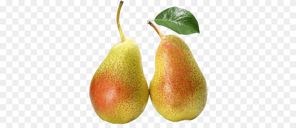 Pear Seasonal 500g Pear, Food, Fruit, Plant, Produce Free Transparent Png
