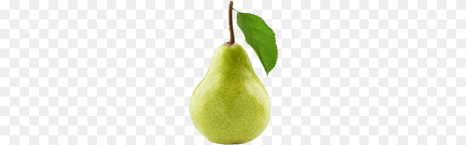 Pear Single, Food, Fruit, Plant, Produce Png Image