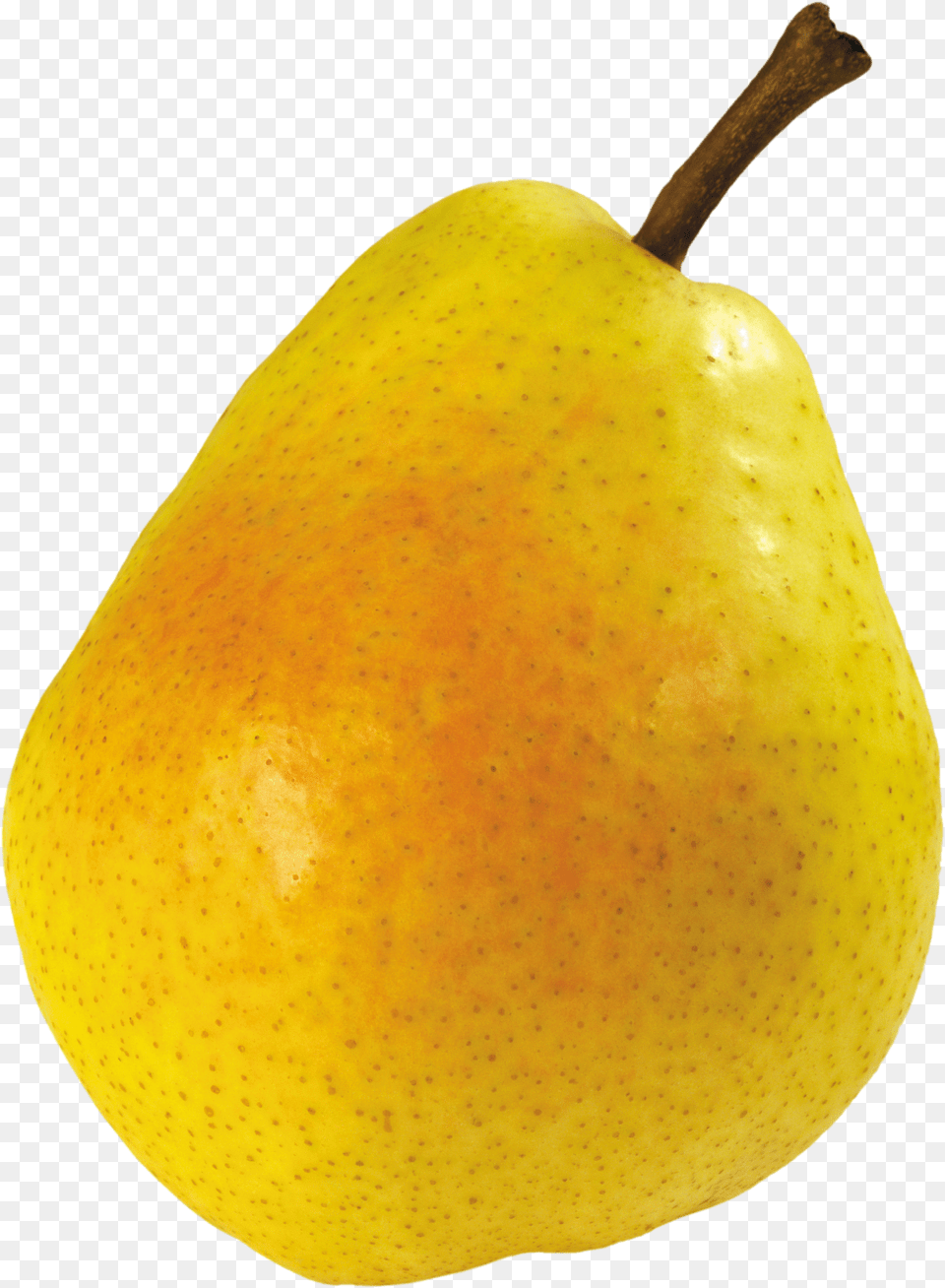 Pear Transparent Background Png