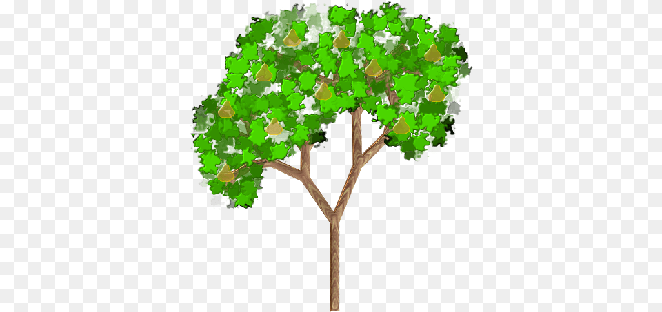 Pear Tree 900px Large Size Clip Arts Free And Pear Tree Clip Art, Sycamore, Oak, Plant, Green Png Image