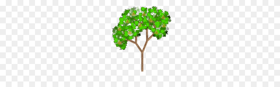 Pear Tree Clip Art, Oak, Plant, Sycamore, Potted Plant Png