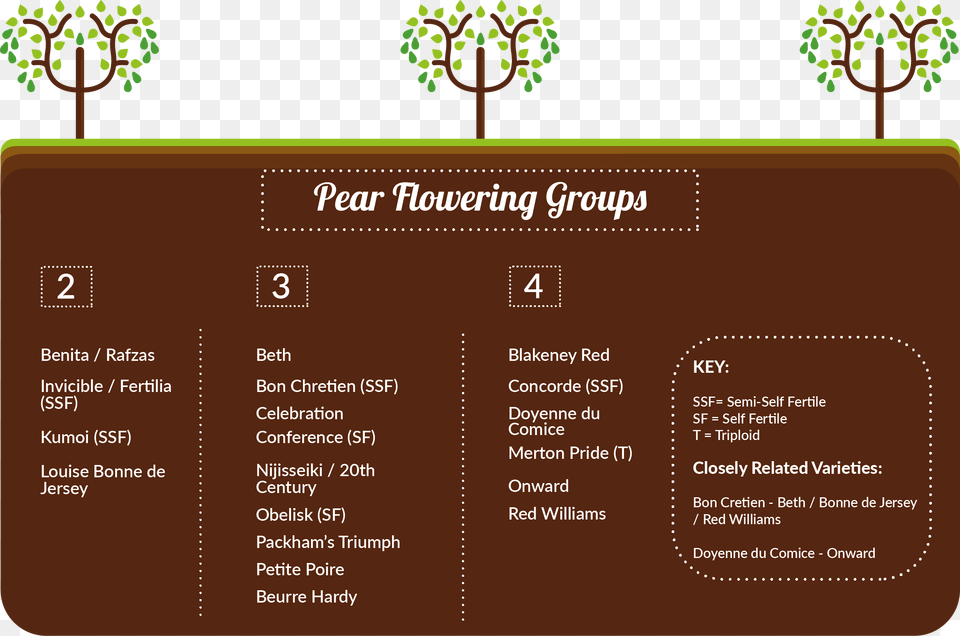 Pear Trees Pollination Group C, Menu, Text, Business Card, Paper Free Png Download
